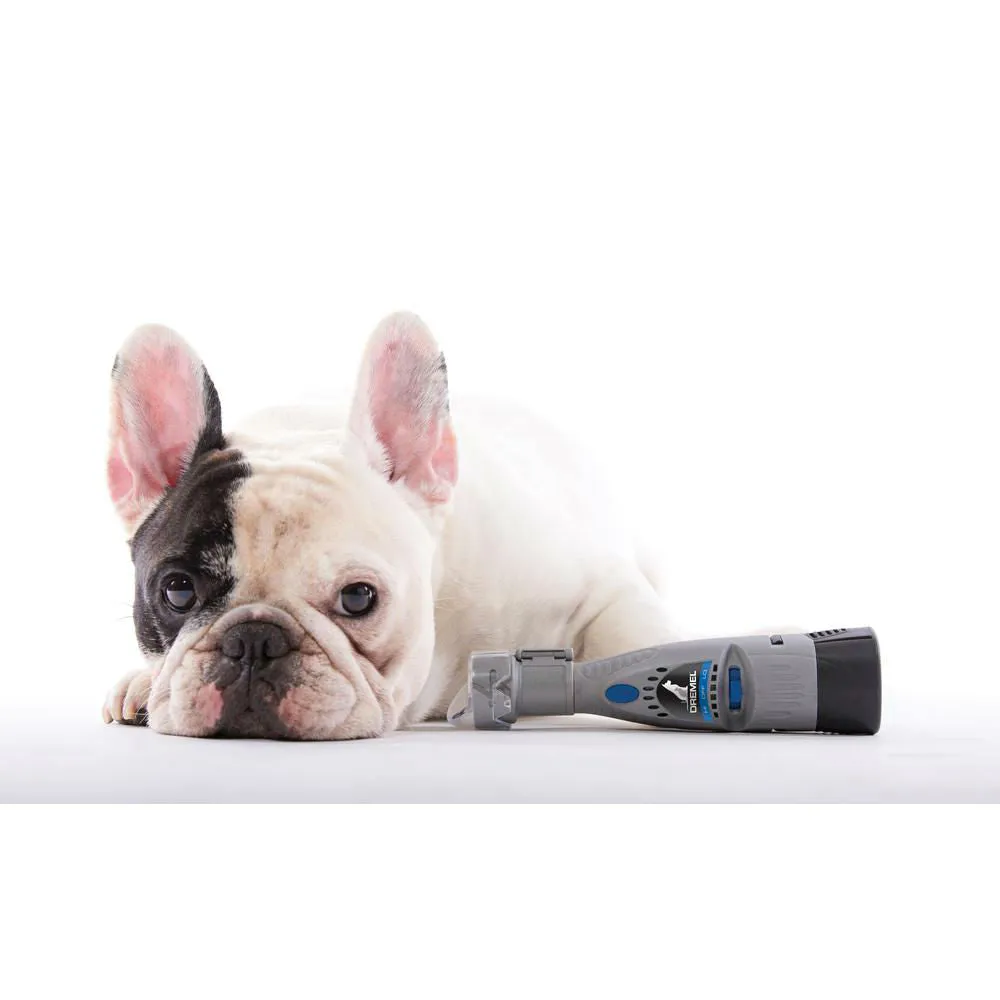 Dremel SD60-PGK EZ Lock Pet Nail Grooming Discs