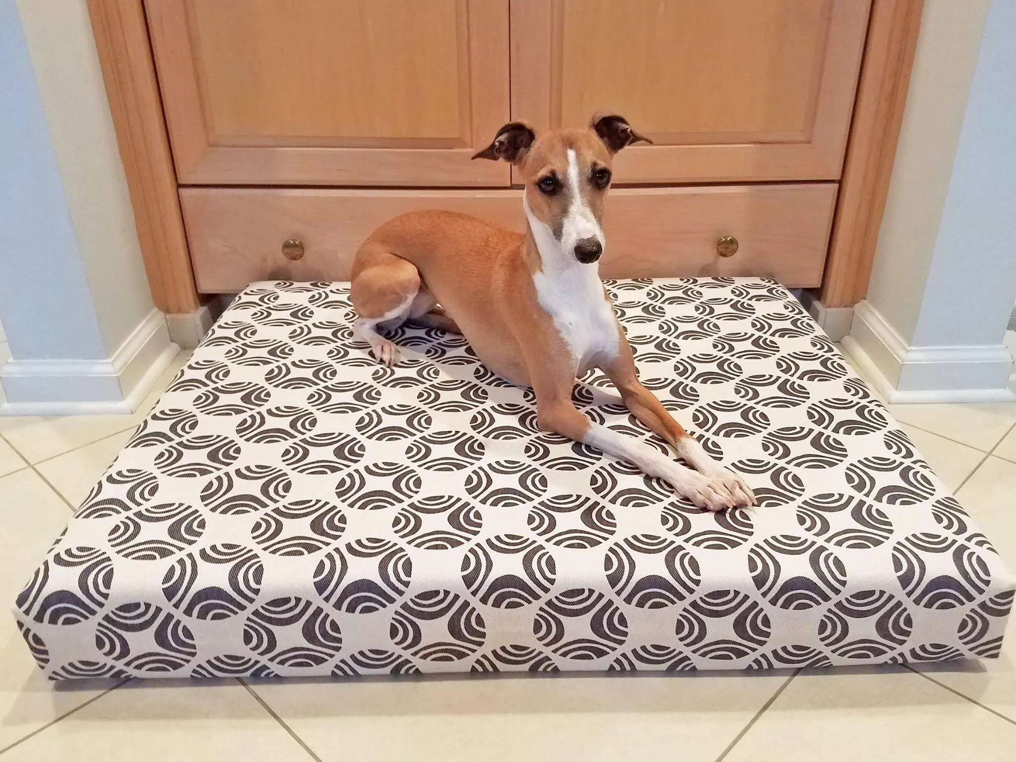 Vita Orthopedic Dog Bed, Picasso